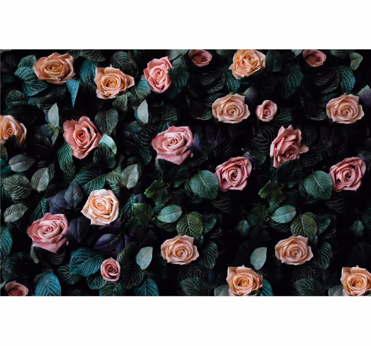 Fototapet flori trandafiri rosii - TenStickers