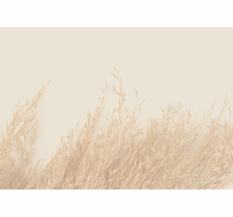 Fototapet natura peisaj de iarbă blândă - TenStickers