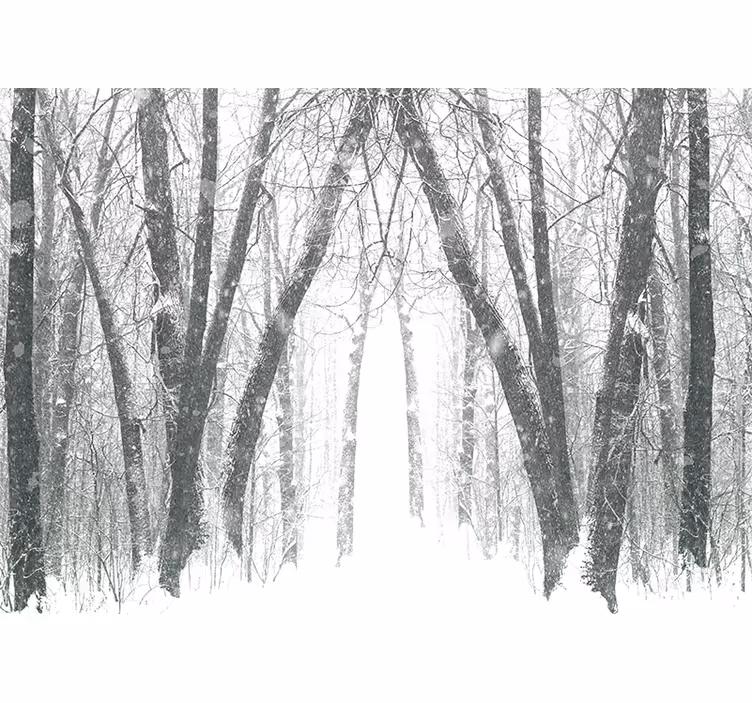 Păduri fototapet poteca pădure înzăpezită - TenStickers