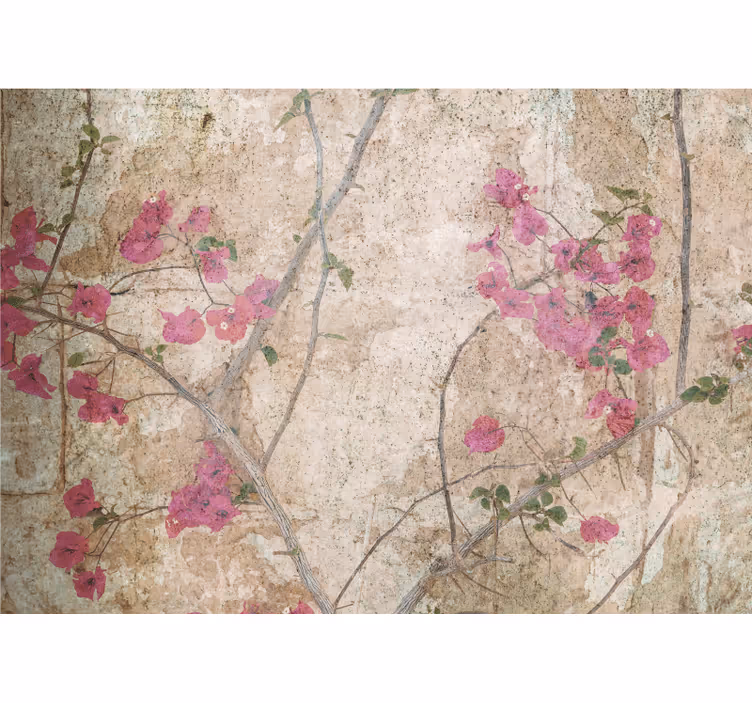 Fototapet cu flori bujori roz de bougainvillea - TenStickers