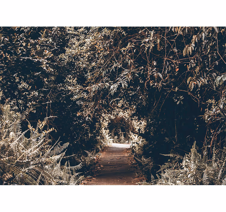 Fototapet natura calea din pădure - TenStickers