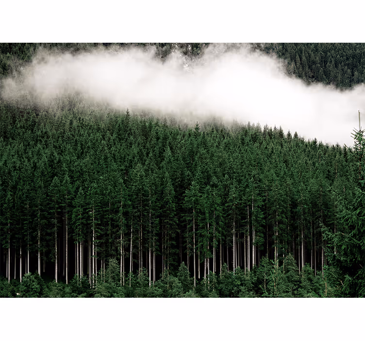Fototapet natura peisajul muntos majestic - TenStickers