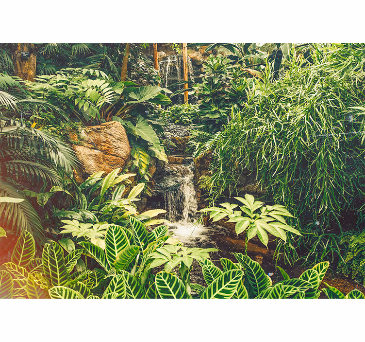 Fototapet frumos verde pădure tropicală - TenStickers