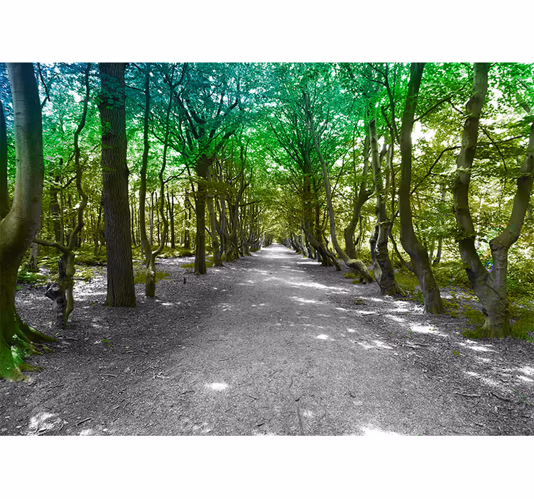 Fototapet natura calea copacilor luxuriante - TenStickers