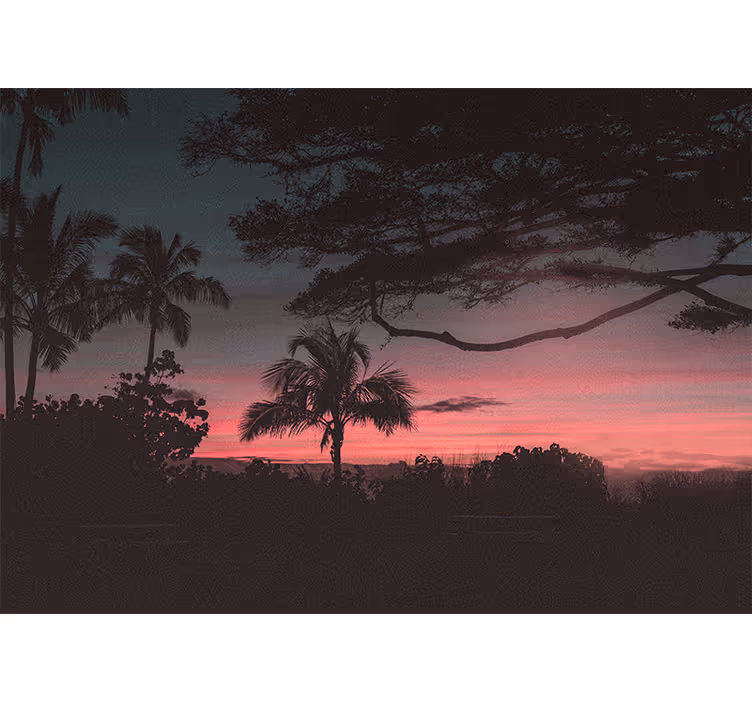 Fototapet peisaje silueta apus tropical - TenStickers