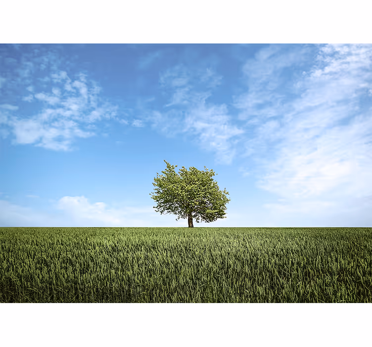 Fototapet natura peisaj cu copac solitar - TenStickers