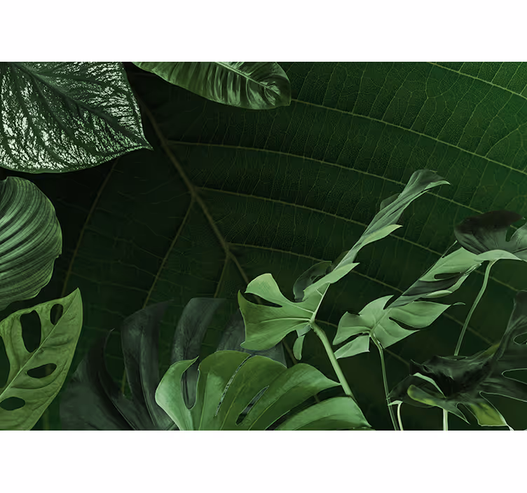 Fototapet natura frunziș verde luxuriant - TenStickers