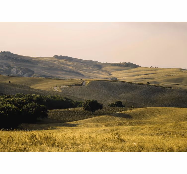 Câmpuri din toscana peisaj natura fototapet - TenStickers