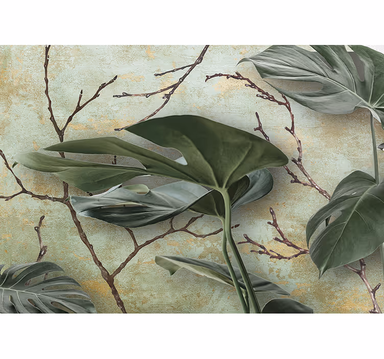 Fototapet natura plante monstera - TenStickers