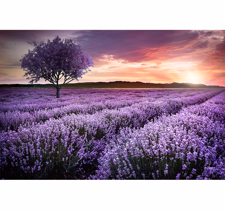 Fototapet copac fantezie violet cu flori - TenStickers