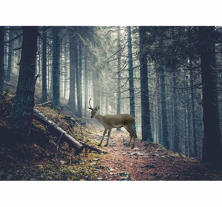 Păduri fototapet cerb în pădure - TenStickers