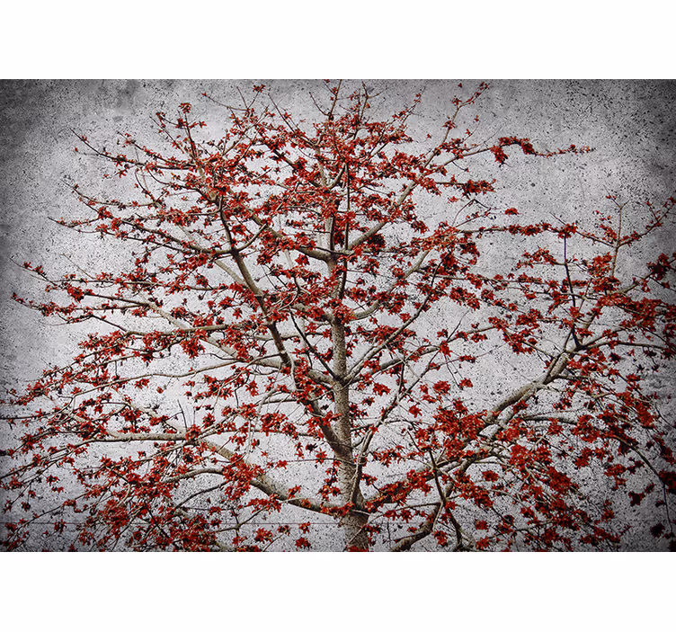 Tapet natura copac cu flori rosii - TenStickers