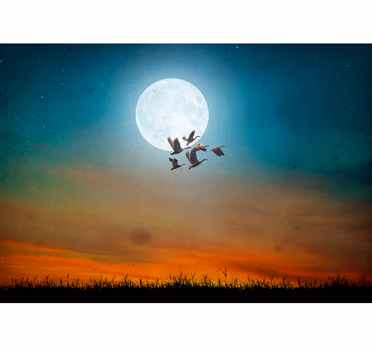 Fototapet luna si pasari - TenStickers