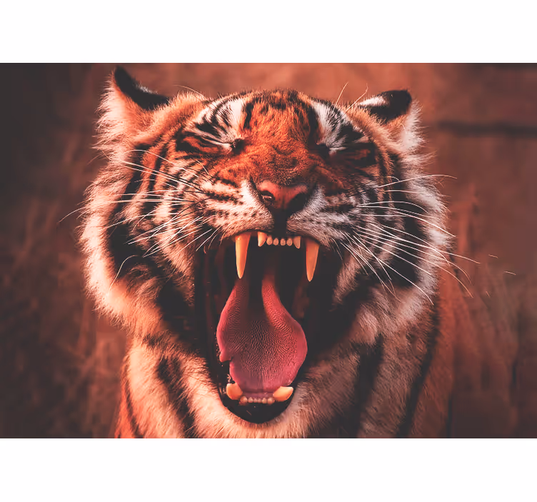 Picturi murale cu alte animale răgetul tigrului majestuos - TenStickers
