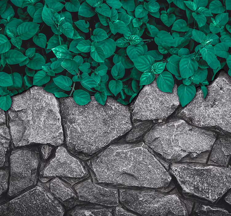 Fototapet natura contrast de verdeață luxuriantă - TenStickers