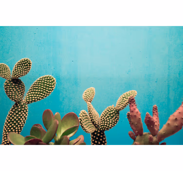 Fototapet cu plante cactus albastru - TenStickers
