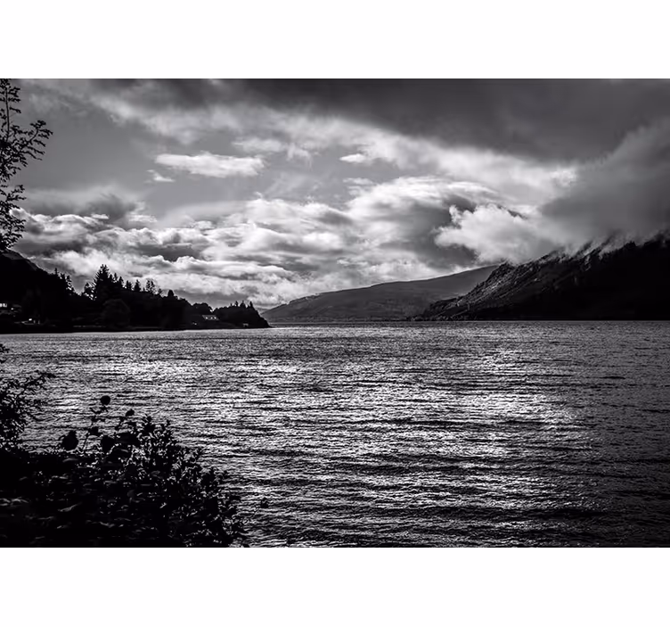 Fototapet peisaje vedere monocromă la lac - TenStickers