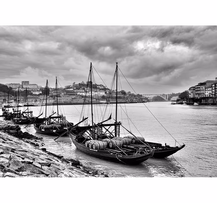 Fotomuraluri cu alte orașe și țări oporto solzi de gri - TenStickers