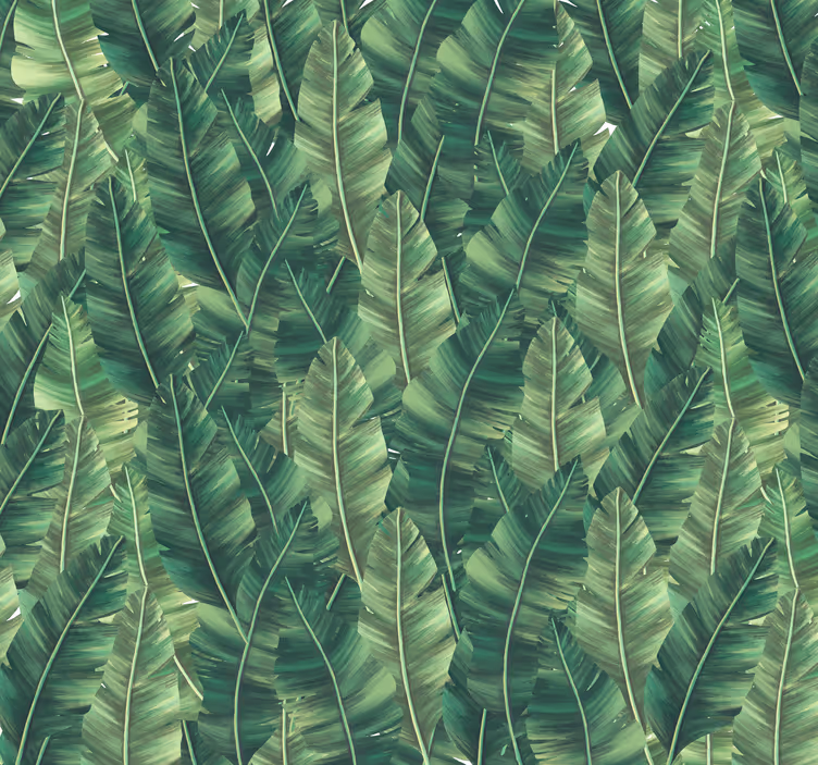Fototapet natura frunze mari - TenStickers