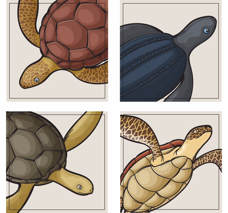 țestoase set de coaster de țiglă de animale - TenStickers