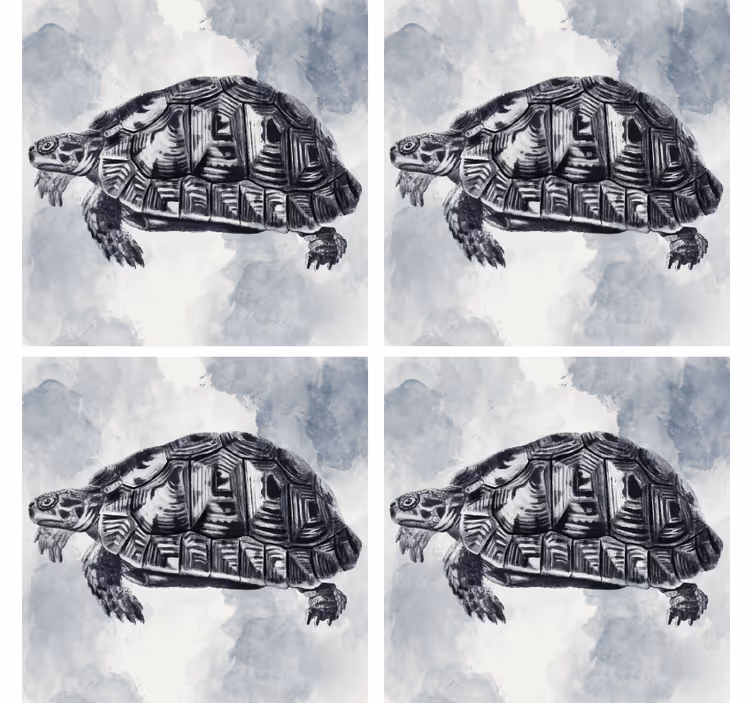 Suporturi pahare geeks ilustrație artistică a țestoasei - TenStickers