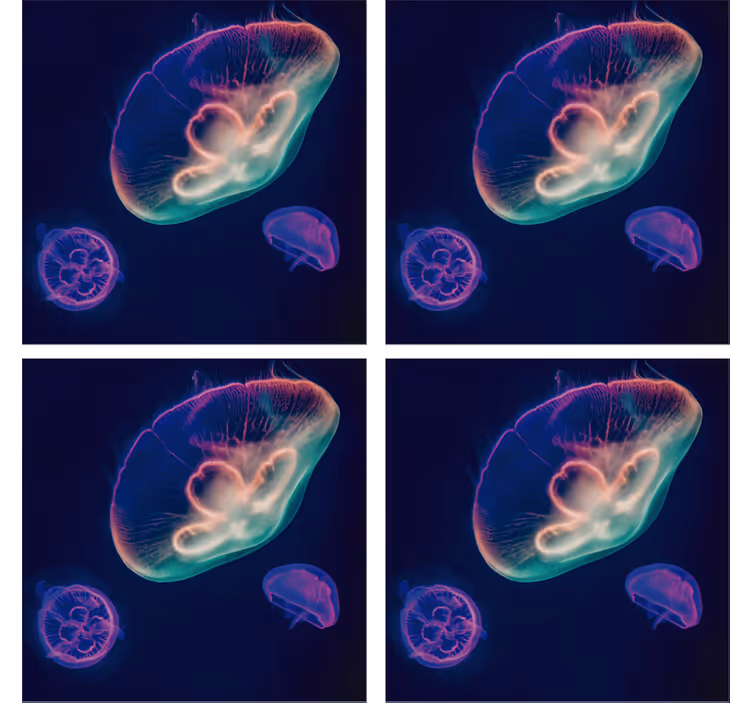 Suporturi pahare geeks creaturi meduze colorate - TenStickers
