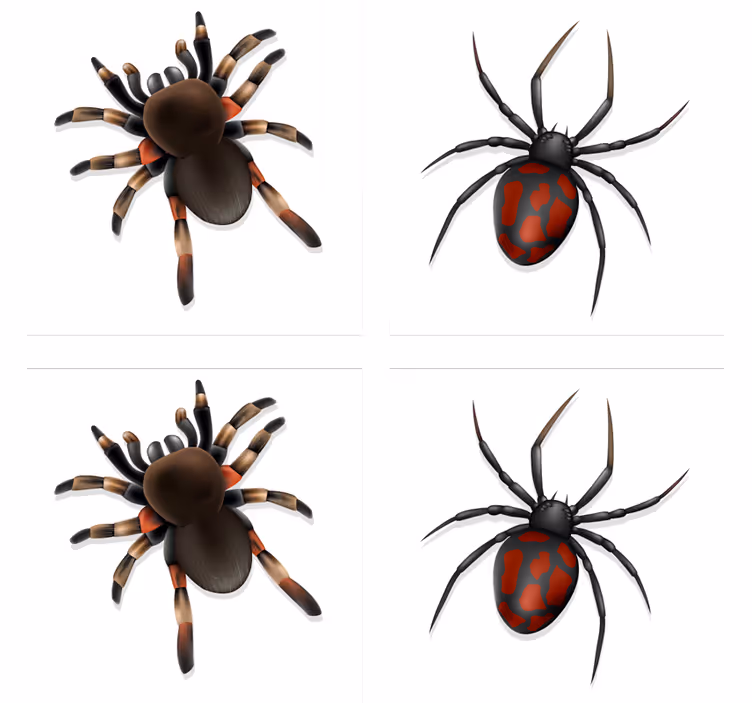 Coaster de halloween păianjen realist - TenStickers