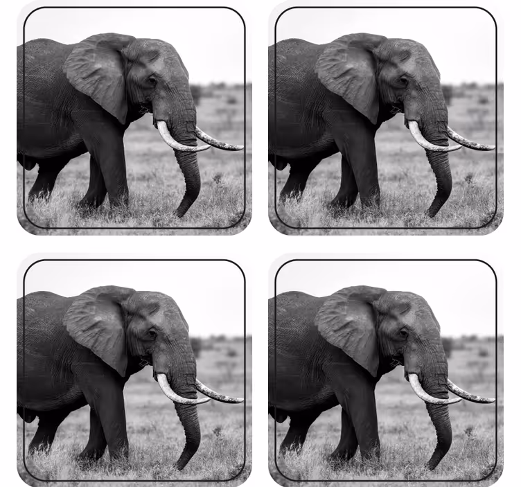 Suporturi pahare geeks model siluetă de elefant - TenStickers