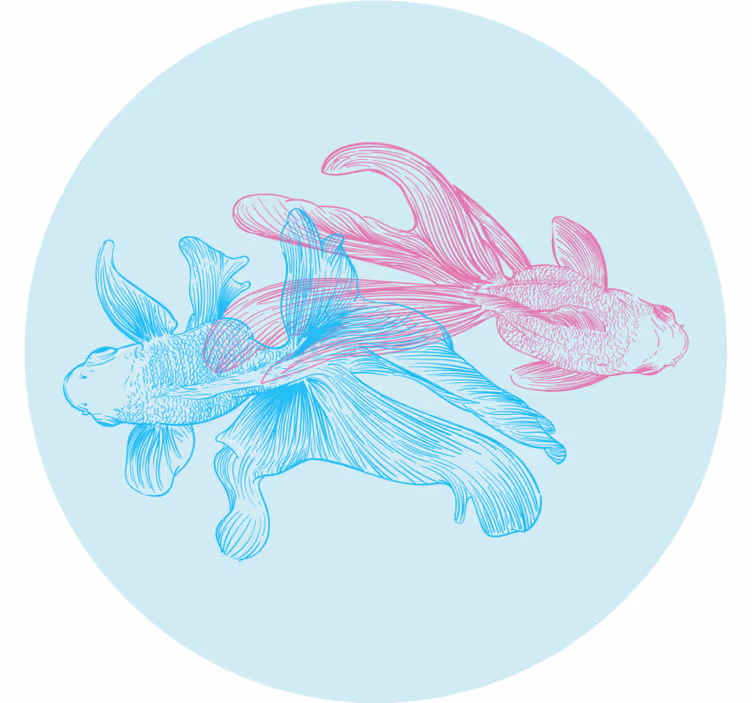Suporturi pahare geeks ilustrații pești bicolori - TenStickers