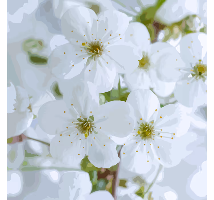 Suporturi pahare flori de cireș delicate - TenStickers