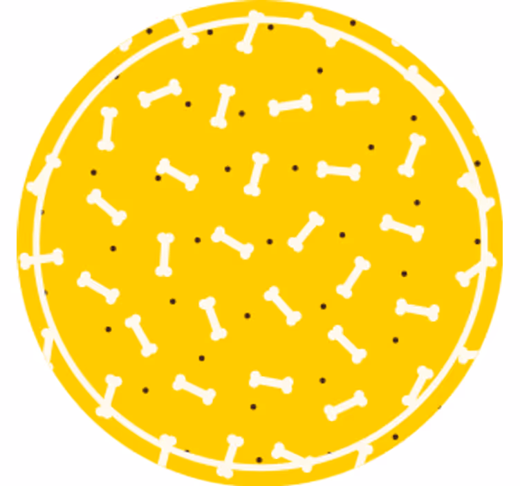 Suporturi pahare geeks model rotund cu motive osoase - TenStickers