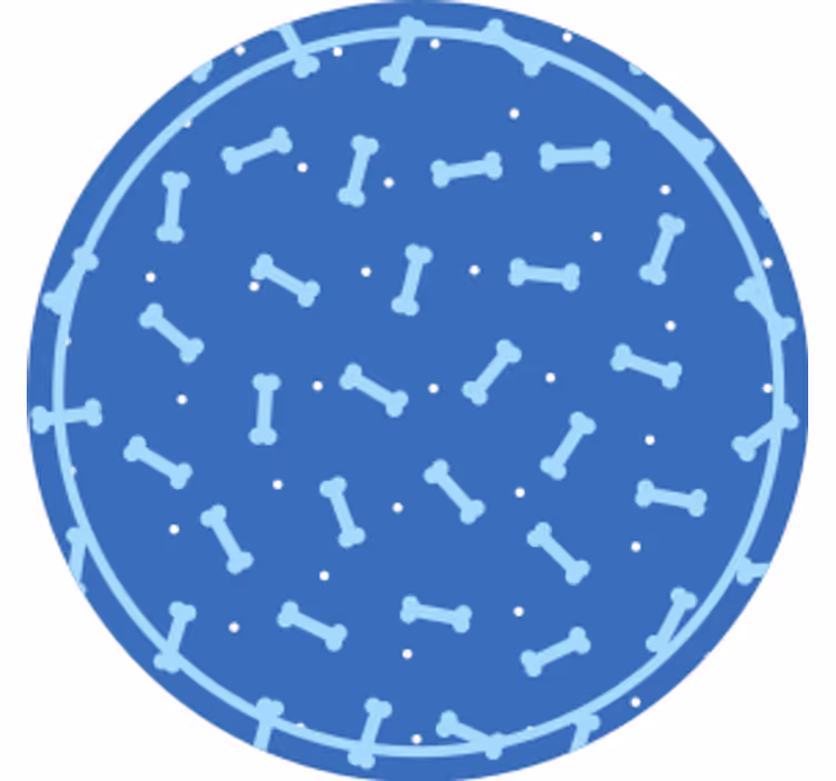 Suporturi pahare cu model cerc osos - TenStickers