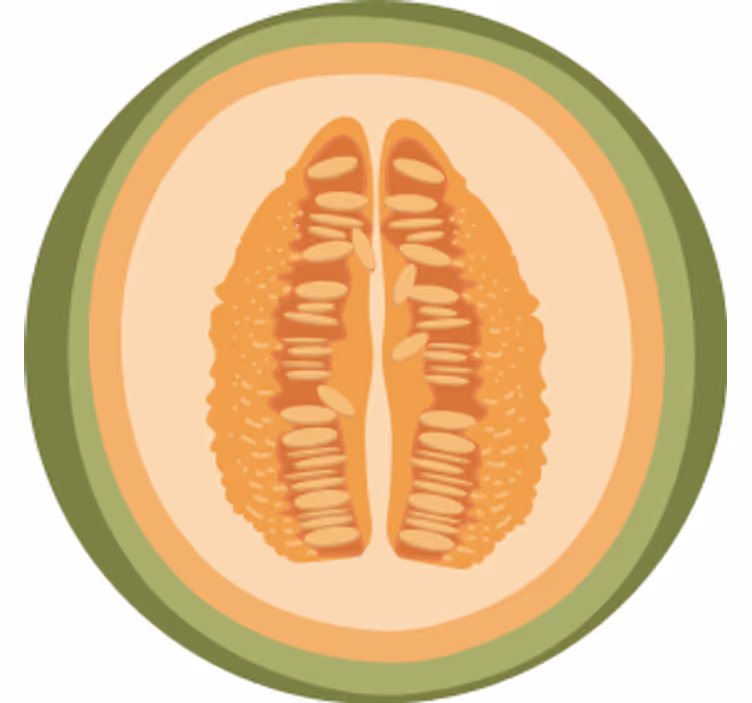 Suporturi pahare geeks cu motive de felii de fructe - TenStickers
