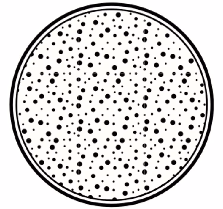 Suporturi pahare cu model puncte negre - TenStickers