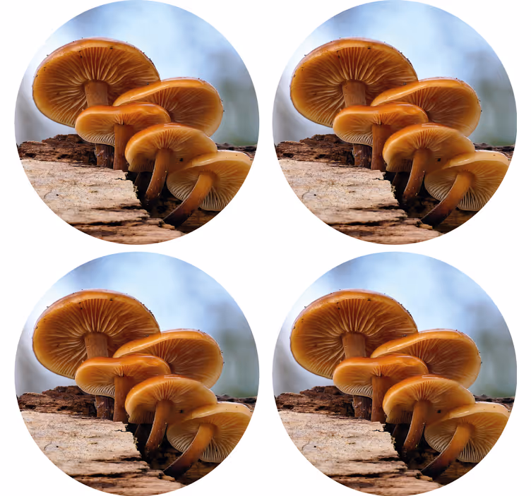 Suporturi pahare moderne aranjament ciuperci - TenStickers