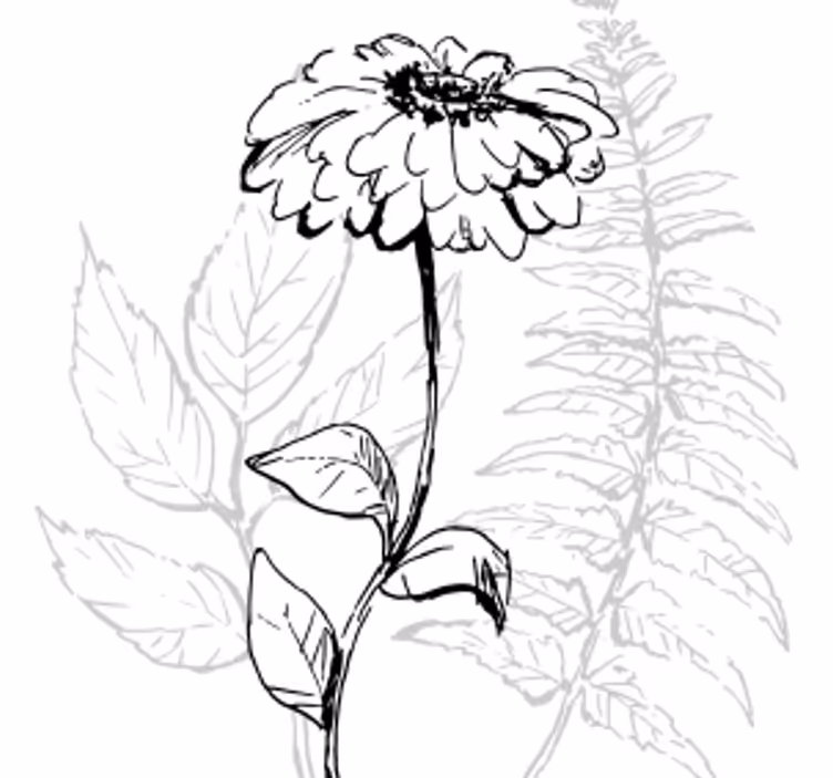Suporturi pahare artă liniară botanică - TenStickers