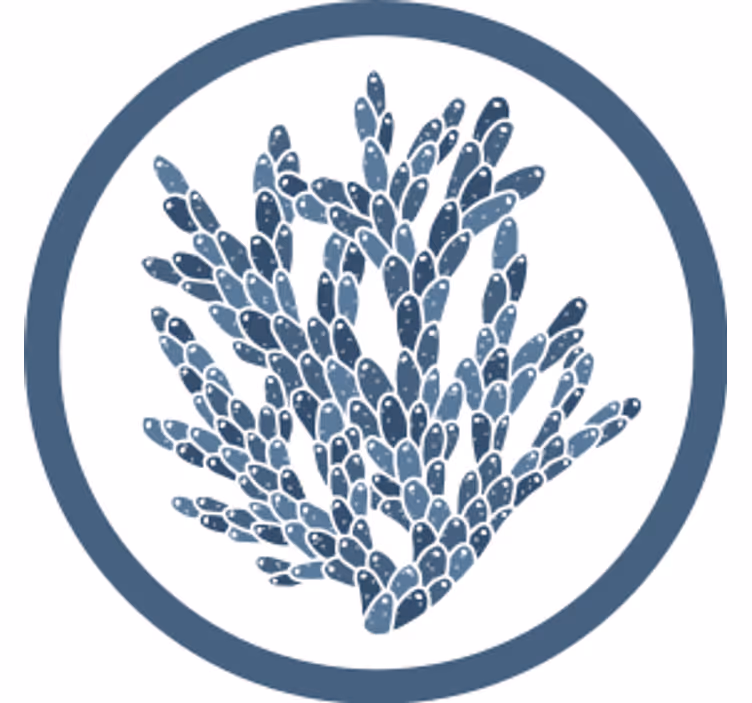 Suporturi pahare model coral abstract - TenStickers