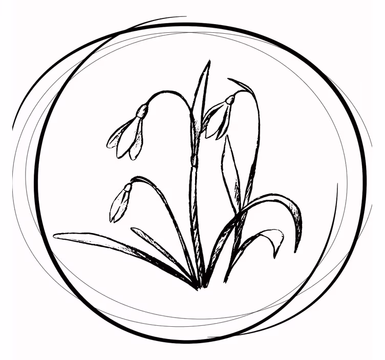 Suporturi pahare schiță florală elegantă - TenStickers