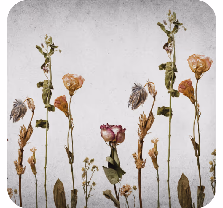 Suporturi pahare cu aranjament floral uscat - TenStickers