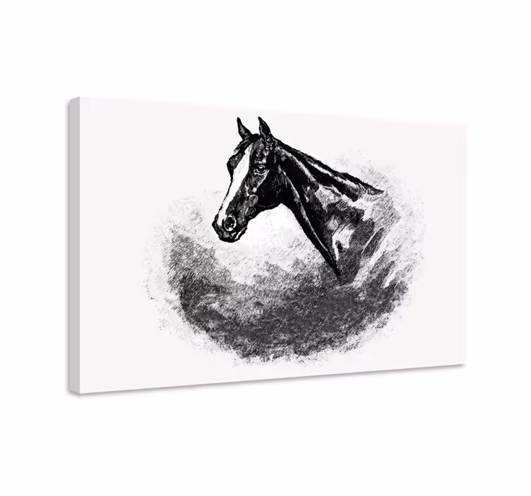 Tablou cai cai din grafit - TenStickers