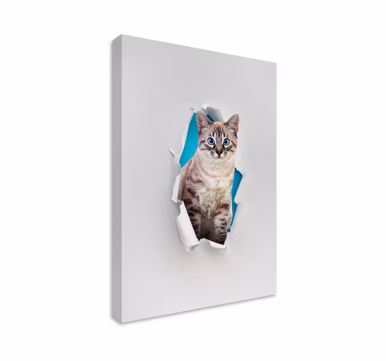 Tablou pisici pentru iubitorii de pisici - TenStickers