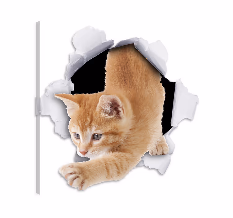 Tablou pisici vinil decorativ iluzie optică - TenStickers