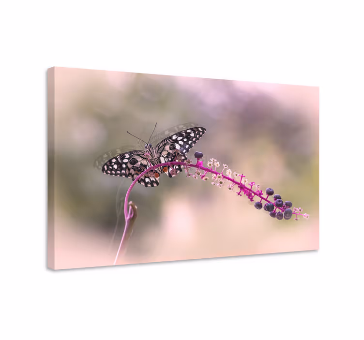 Tablou fluturi fluture violet - TenStickers