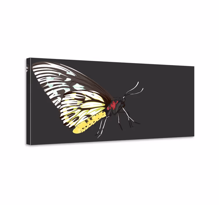 Tablou fluturi fluture galben realist detaliat - TenStickers