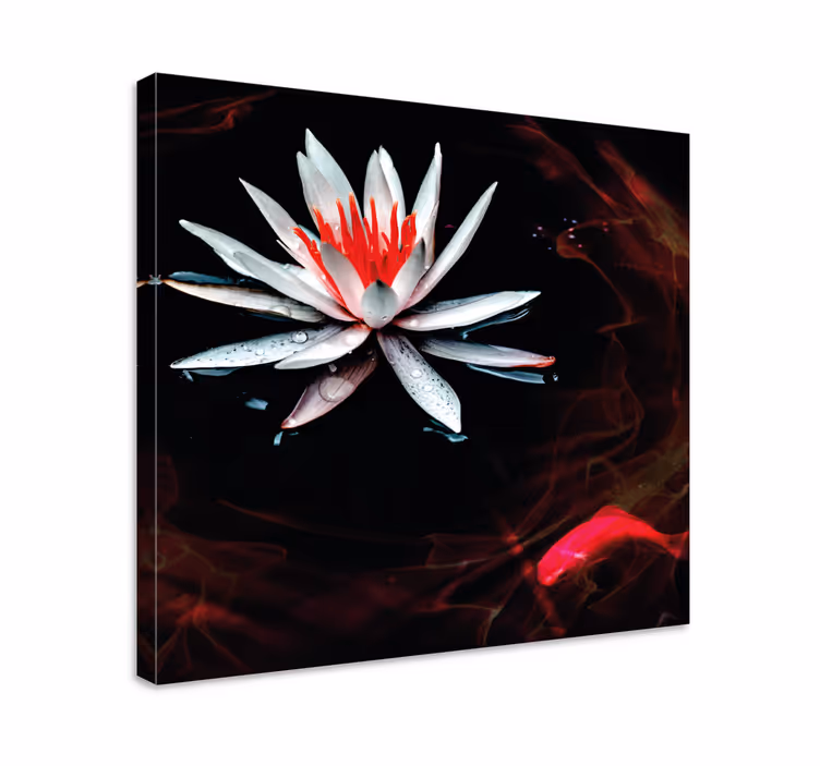 Tablou flori şi plante lotus pe apă - TenStickers