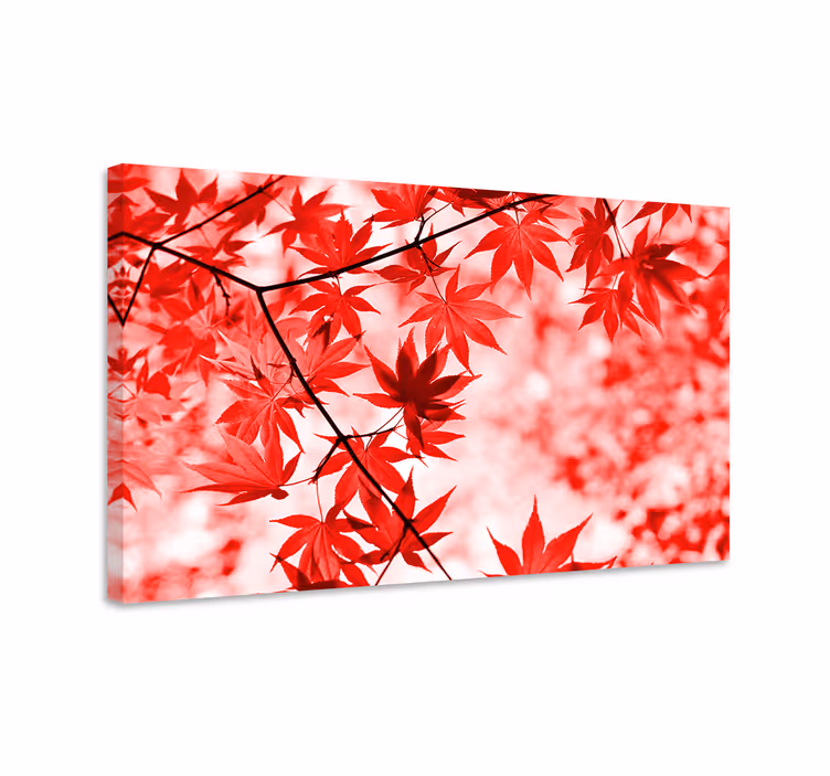 Tablou flori şi plante frunze de arțar roșu vii - TenStickers