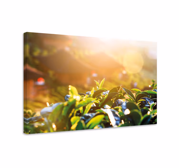 Tablou flori şi plante frunze de ceai de dimineaţă - TenStickers