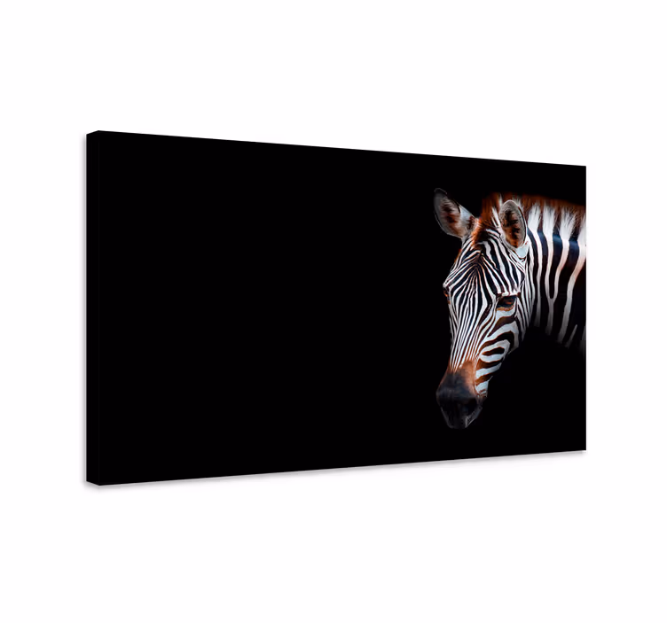 Tablou animale zebra în prim-plan - TenStickers