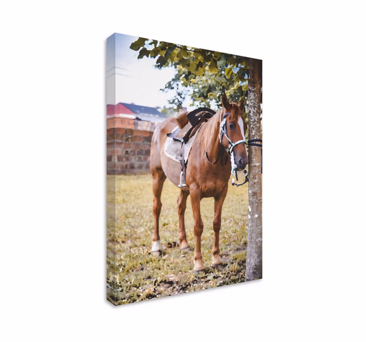 Tablou cai cal elegant maro - TenStickers