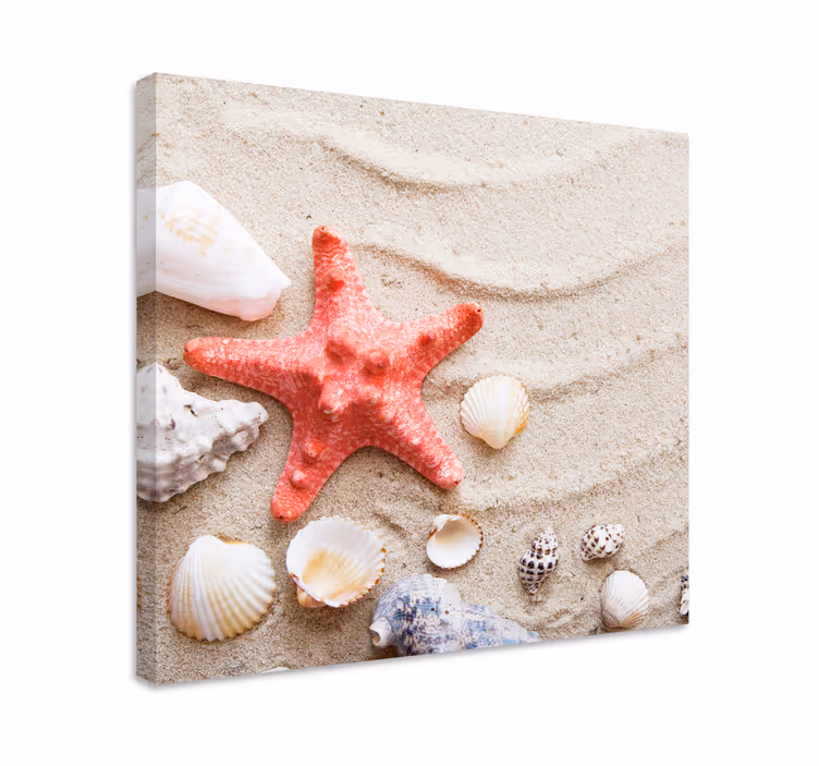 Stele de mare și scoici pe nisip arta pânzei vieții marine - TenStickers